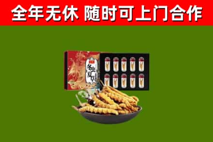 攀枝花回收冬虫夏草价格