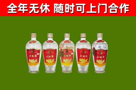 攀枝花回收老五粮液